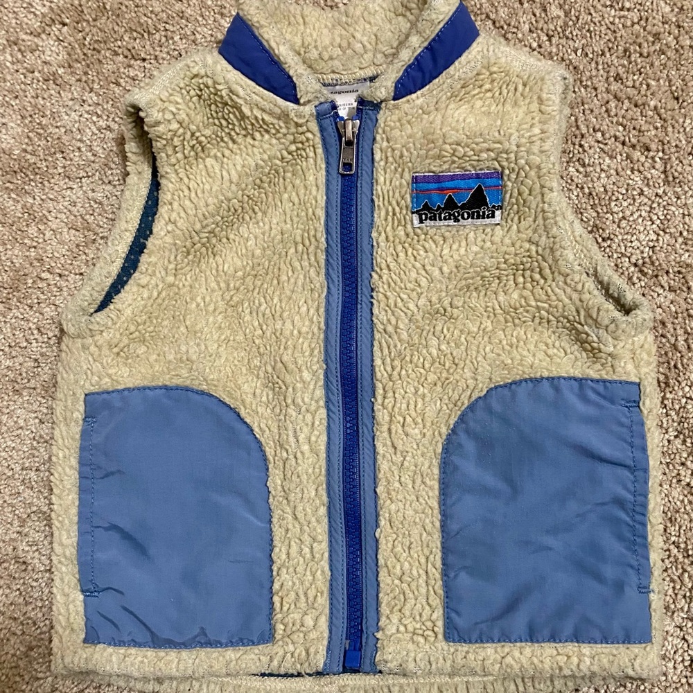 Patagonia Retro Pile Vest